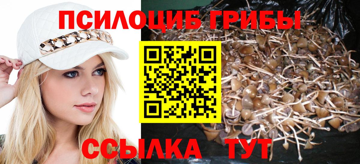 Галлюциногенные грибы мухоморы  Вход с VPN  Галлюциногенные грибы Psilocybine cubensis  Тутаев 
